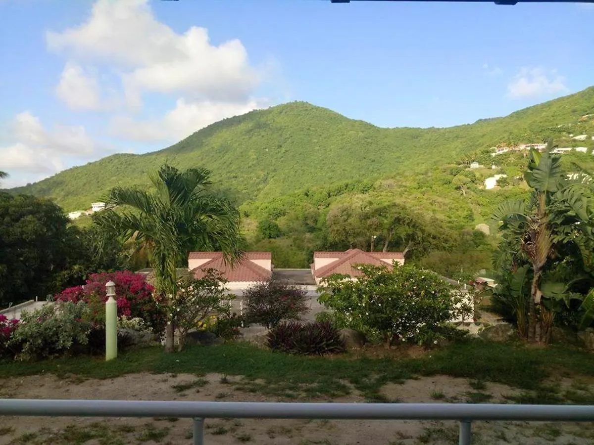 Pleasant Apartment In La Savane With Garden & Mountain View Grand Case